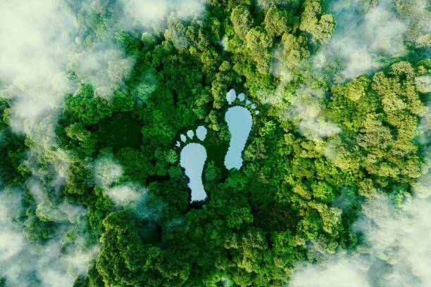 réduire impact environnemental entreprise